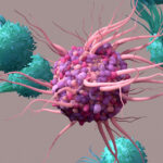 newly-discovered-immune-cell-type-regulates-food-allergies