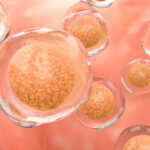 cellino,-karis-bio-partner-on-autologous-ipsc-based-therapy-for-cardiovascular-disease