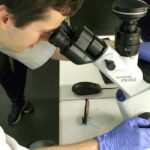 cocktail-of-drugs-shows-promise-against-entire-family-of-viruses