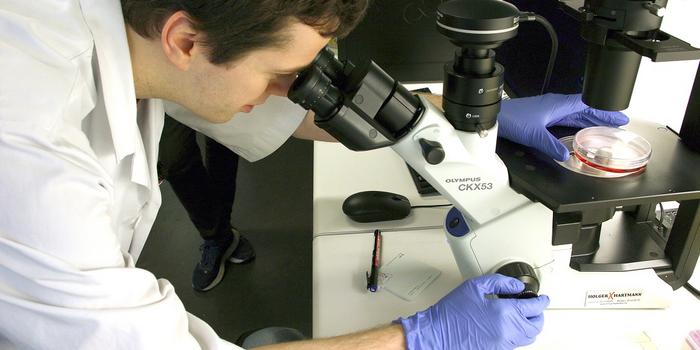 cocktail-of-drugs-shows-promise-against-entire-family-of-viruses