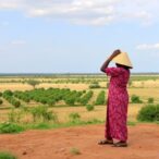 cancer-knowledge-transfer-in-africa,-asia-reviewed