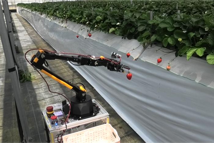 autonomous-farm-robot-navigates-and-harvests-crops-among-raised-beds