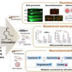 new-study-uncovers-neurotoxic-risks-of-high-level-exposure-to-rose-scented-citronellol