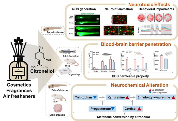 new-study-uncovers-neurotoxic-risks-of-high-level-exposure-to-rose-scented-citronellol