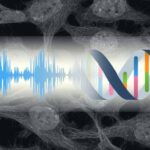 your-cells-can-listen-to-this-news-headline.