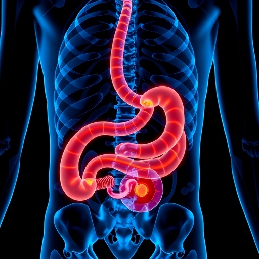 sarcopenia-risks-in-gastric-cancer-patients