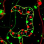 identifying-colorectal-cancer-autoantigens-via-multi-omics