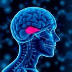 generative-ai-demonstrates-diagnostic-skills-on-par-with-general-practitioners