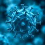 immunotherapy-effective-in-older-adults-despite-age-related-immune-changes