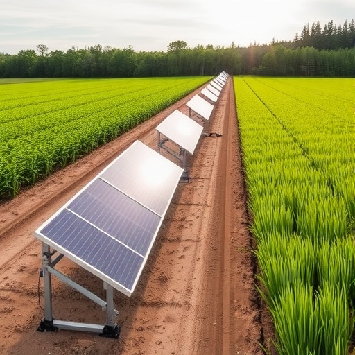 msu-research-explores-dual-use-of-farm-fields-for-crops-and-solar-energy
