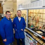 scientists-confirm-1958-vitamin-b1-hypothesis-after-decades-of-research