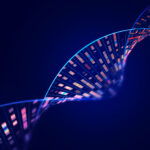 footprint-qtls-show-how-noncoding-variants-disrupt-tf-binding,-drive-disease-risk-in-liver