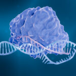 editco,-promega-to-combine-crispr-knock-in-capabilities-with-protein-labeling-tech