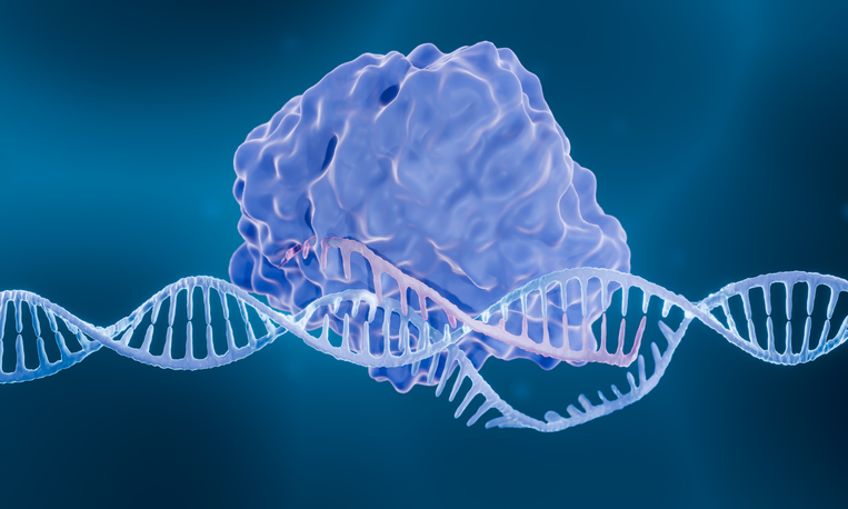 editco,-promega-to-combine-crispr-knock-in-capabilities-with-protein-labeling-tech