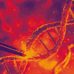 the-state-of-crispr-and-genome-editing