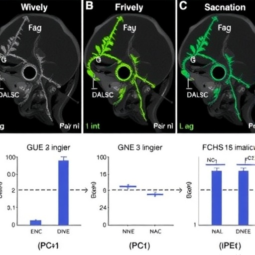 gene-signature-predicts-hnscc-outcomes,-immunity