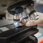 mount-sinai-team-finds-new-way-cells-control-rna