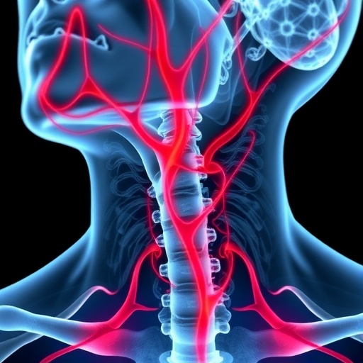 micronanoplastics-discovered-in-artery-blocking-plaque-of-the-neck