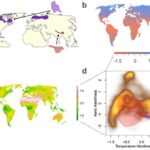 why-smart-birds-and-wide-habitats-may-not-shield-them-from-climate-change