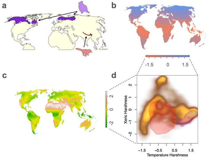 why-smart-birds-and-wide-habitats-may-not-shield-them-from-climate-change