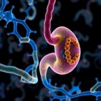 usp39:-new-biomarker-for-pancreatic-immunotherapy