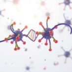 discovering-a-novel-therapeutic-target:-rna-binding-proteins-present-on-cancer-cell-surfaces