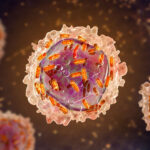 novel-leukemia-target-found-in-rna-binding-cell-surface-protein