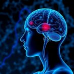 how-memories-of-cold-influence-metabolism:-new-scientific-insights-uncovered