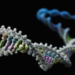 watchmaker-genomics-and-revvity-team-to-automate-and-streamline-ngs-library-preparation