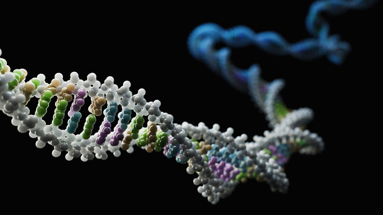 watchmaker-genomics-and-revvity-team-to-automate-and-streamline-ngs-library-preparation