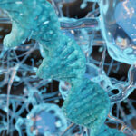 multi-platform-sequencing-study-of-four-generations-sheds-light-on-mutation-rates