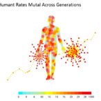 human-de-novo-mutation-rates-mapped-across-generations