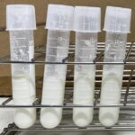 revolutionizing-lactobacillus-strains:-advanced-dna-base-editing-eliminates-copy-paste-approaches