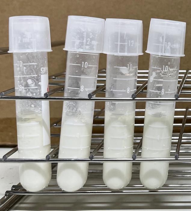 revolutionizing-lactobacillus-strains:-advanced-dna-base-editing-eliminates-copy-paste-approaches
