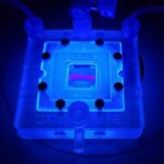 bioprinting-technique-brings-vascularized-tissue-one-step-closer