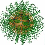 nanomedicine:-how-structure-drives-effectiveness-and-safety