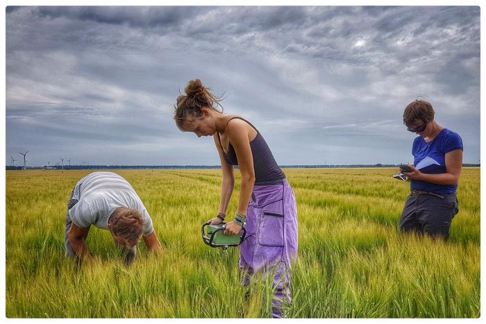 low-intensity-practices-optimize-agricultural-soil-health
