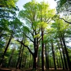 genomic-markov-models-revolutionize-forest-tree-breeding