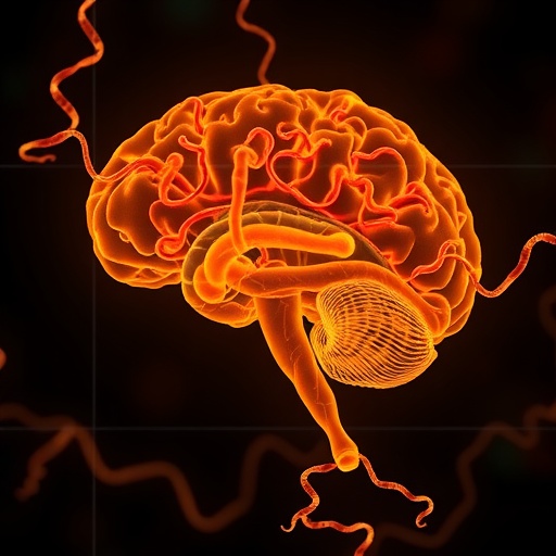 circular-rna-aptamers-reduce-alzheimer’s-neuroinflammation-effects