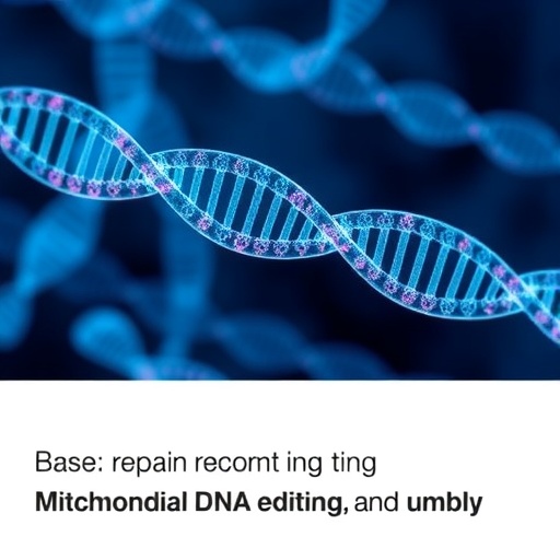 boosting-mitochondrial-dna-editing-via-base-repair