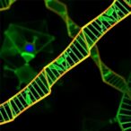 precise-rna-a-to-i-editing-via-adar-inhibitor-cleavage