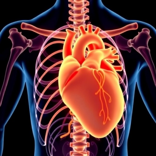 sts-unveils-innovative-risk-calculator-for-aortic-root-and-ascending-aorta-surgery