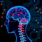 brain-decoder-technology-manipulates-spinal-cord-stimulation