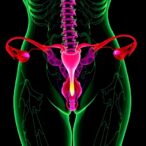 endometriosis-phenotyping-advances:-surgery,-omics,-ai-insights