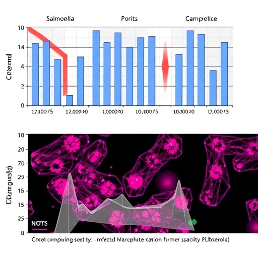 tracking-salmonella-gene-activity-inside-infected-macrophages