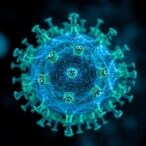 itaconate-regulates-immunity-by-blocking-peroxiredoxin-5