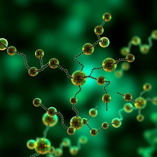 metabolic-pathway-control-via-cellular-biomolecular-condensates
