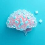 non-caloric-sweeteners-impact-brain-appetite-across-weights
