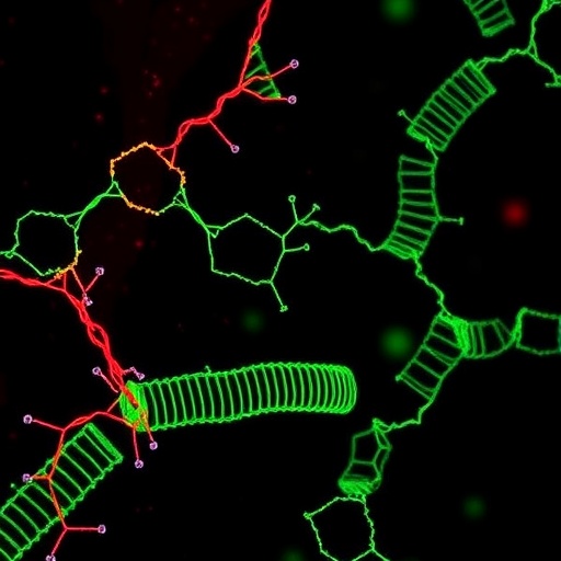 inducible-transposon-mutagenesis-reveals-bacterial-infection-genes