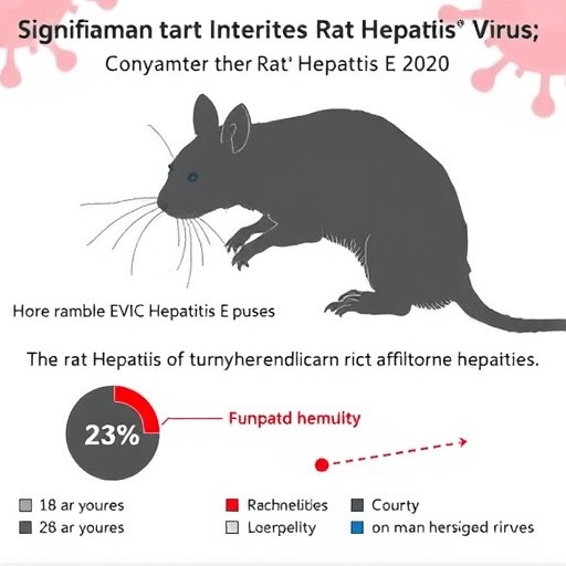significant-human-impact-from-rat-hepatitis-e-virus